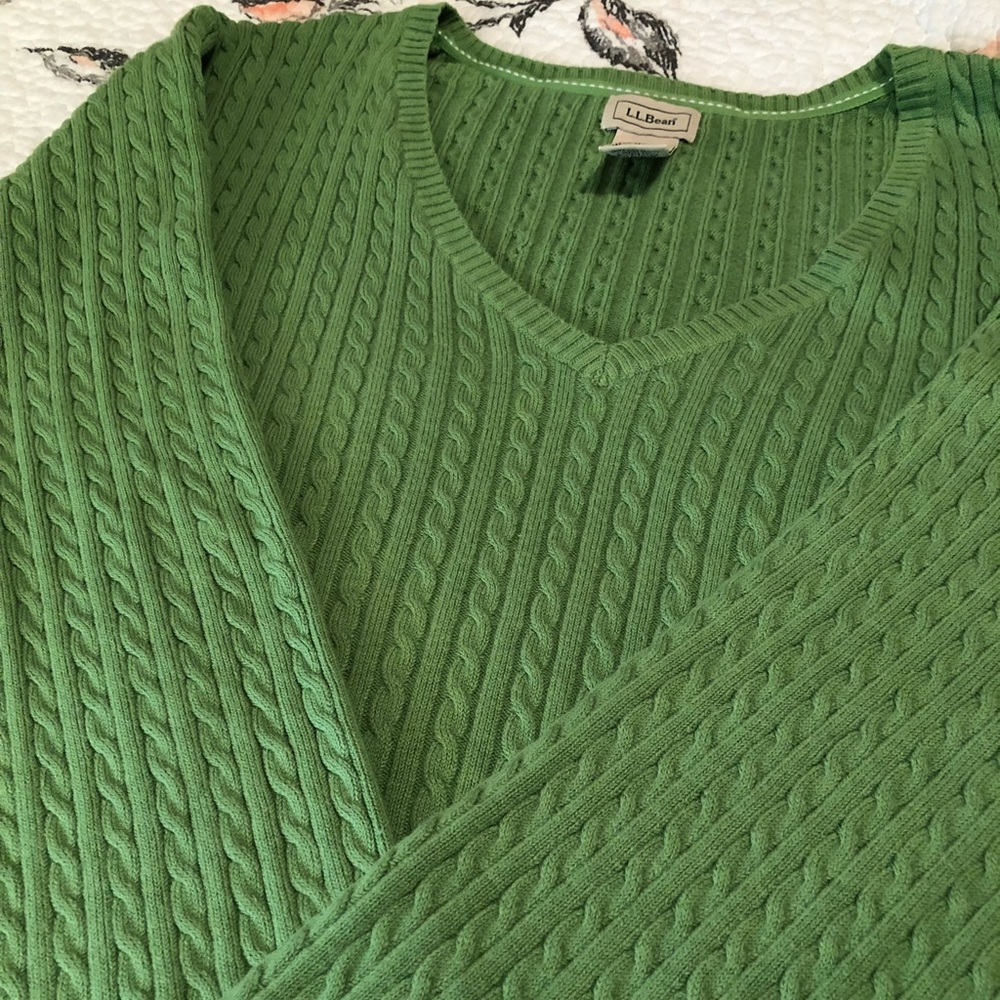 Plus size L.L Bean sweater